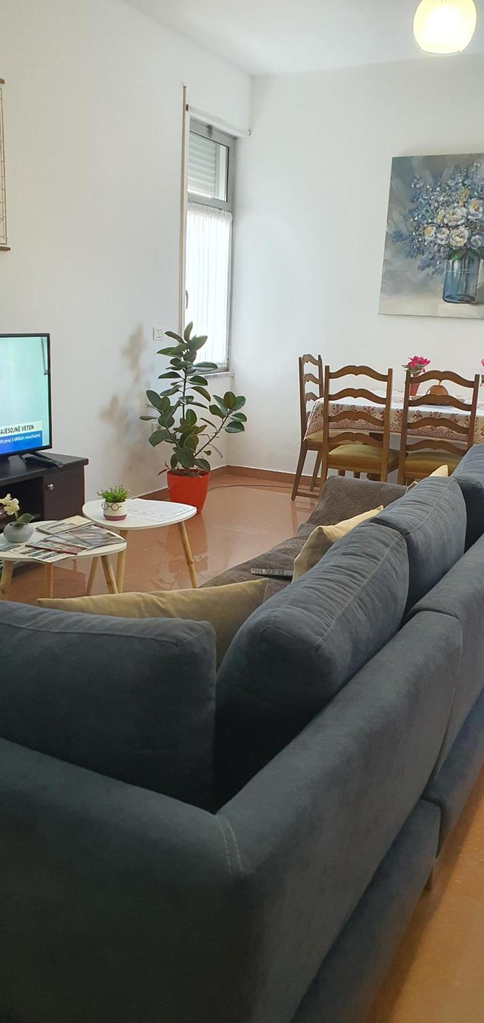 Center Shkodra